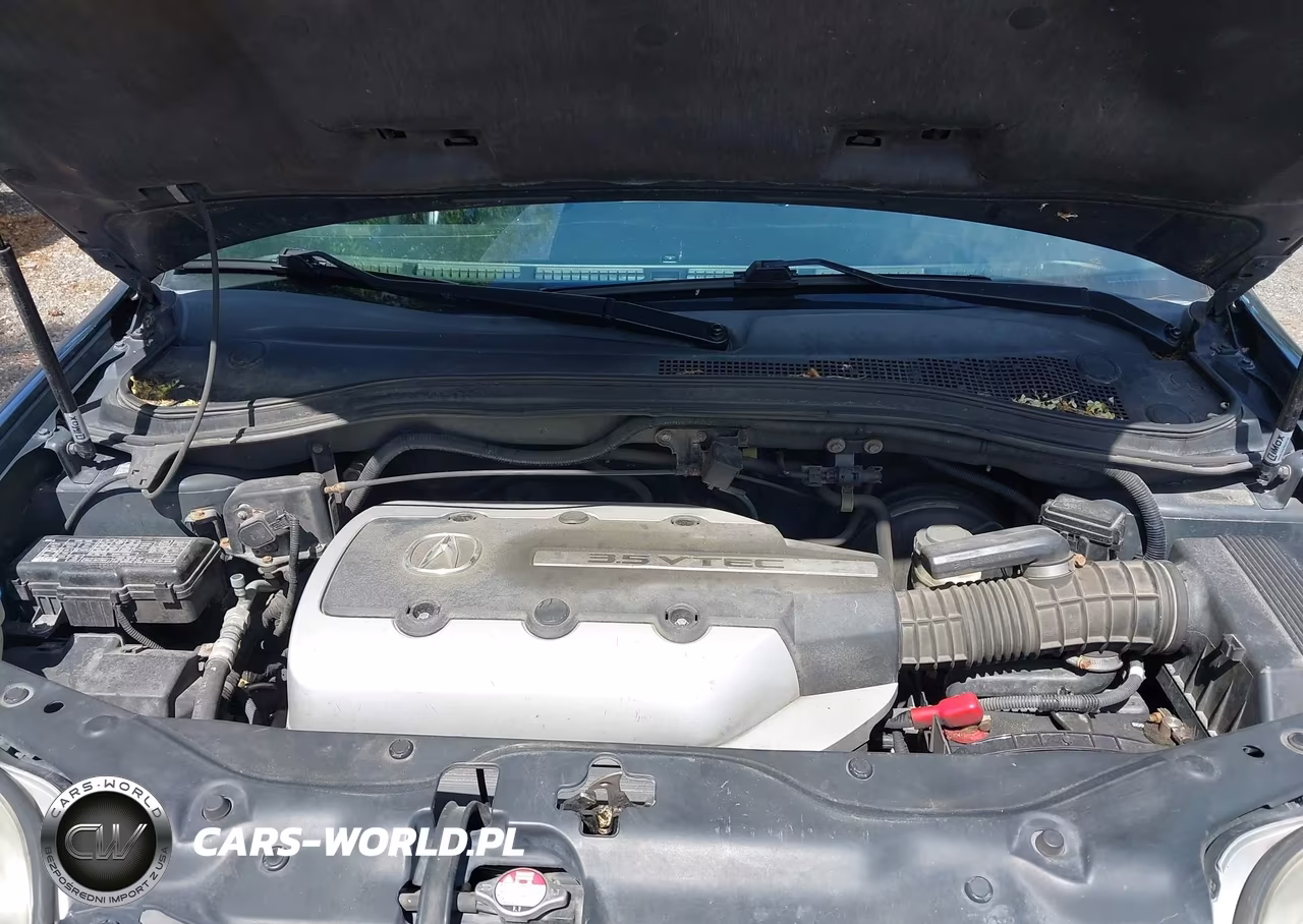 2006 Acura Mdx VIN:2HNYD182X6H549352 - 10