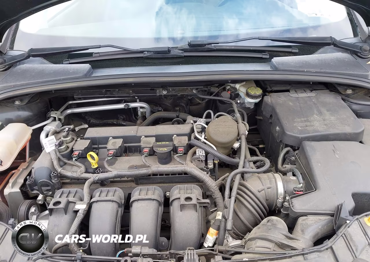 2013 Ford Focus Se VIN:1FADP3K25DL264323 - 10