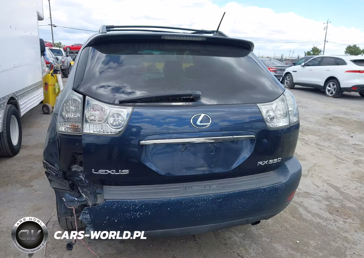 2006 Lexus Rx 330 VIN:JTJHA31U560100538 - 17