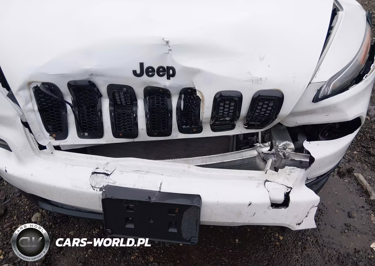 2018 Jeep Cherokee Sport VIN:1C4PJLAX5JD559093 - 6