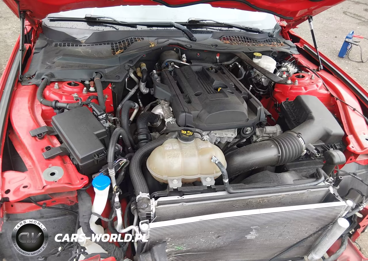 2020 Ford Mustang Ecoboost Premium VIN:1FATP8UH0L5138786 - 10