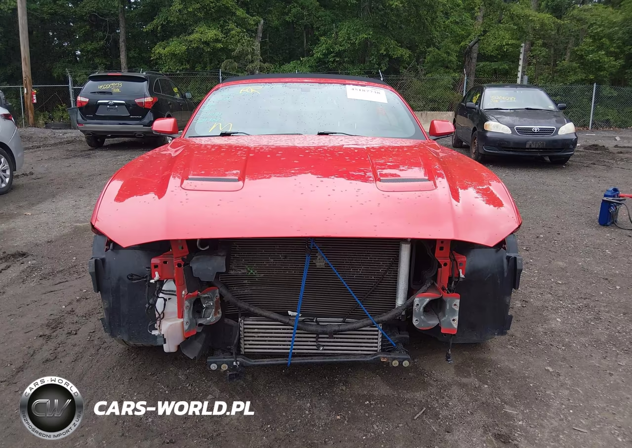 2020 Ford Mustang Ecoboost Premium VIN:1FATP8UH0L5138786 - 12