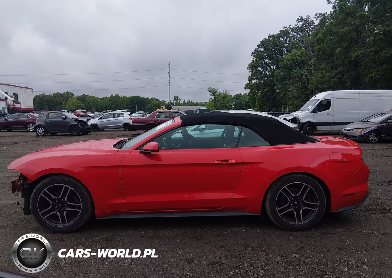 2020 Ford Mustang Ecoboost Premium VIN:1FATP8UH0L5138786 - 14