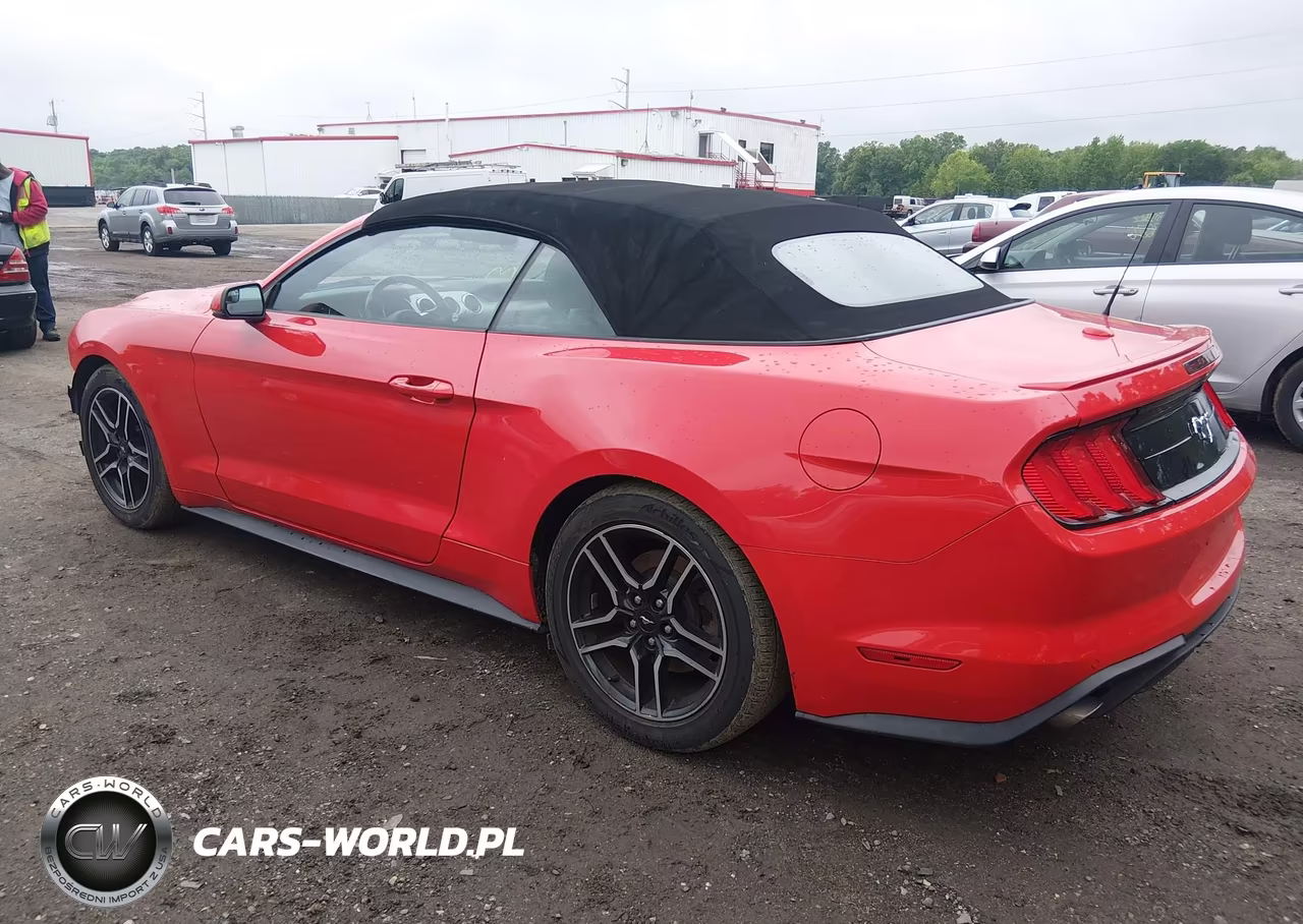 2020 Ford Mustang Ecoboost Premium VIN:1FATP8UH0L5138786 - 3