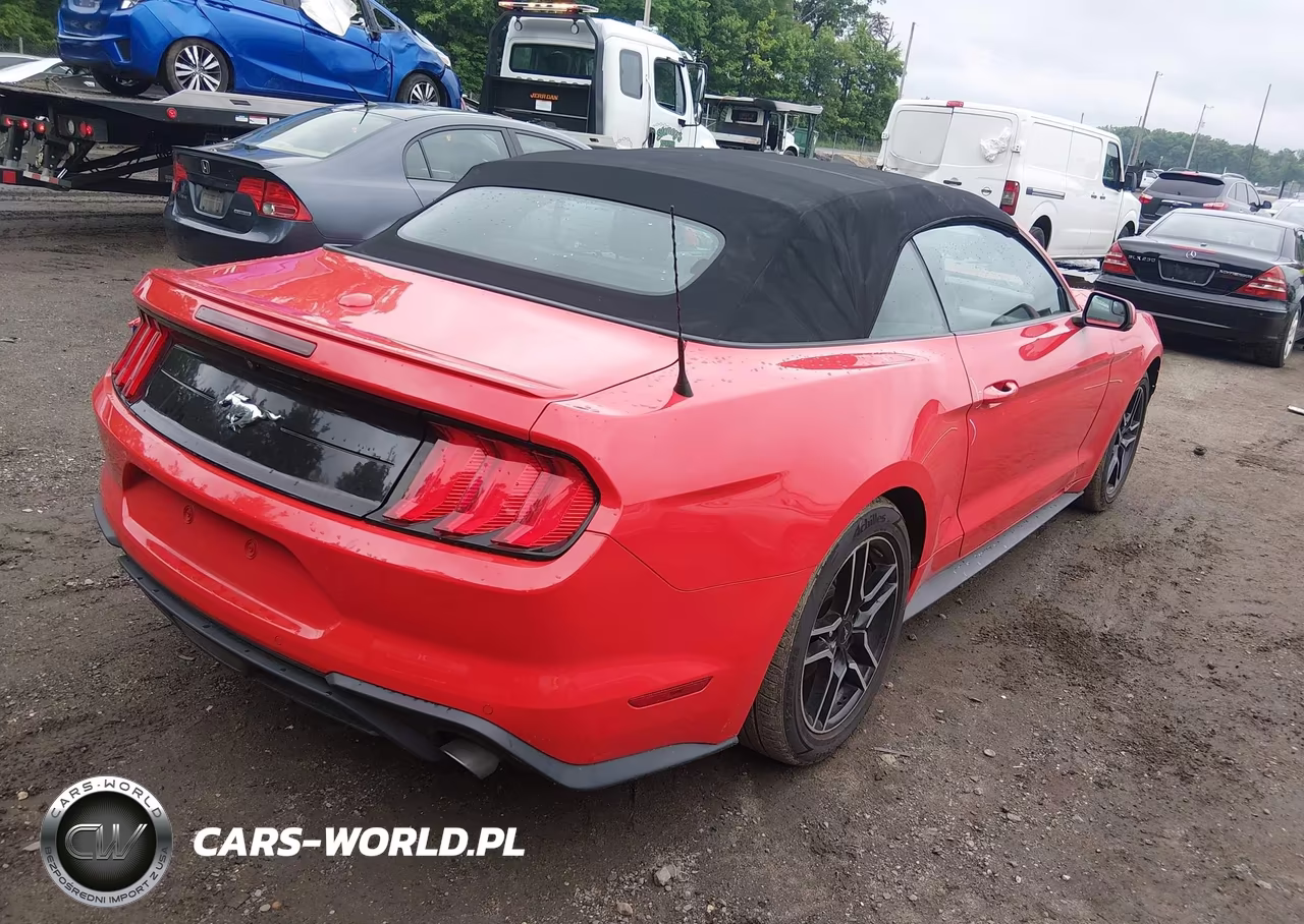 2020 Ford Mustang Ecoboost Premium VIN:1FATP8UH0L5138786 - 4