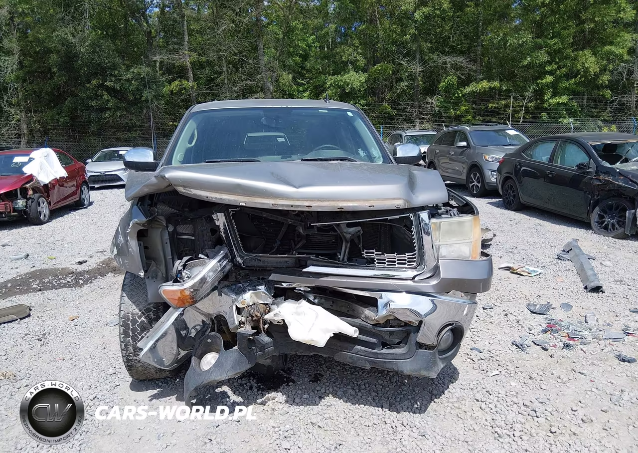 2013 GMC Sierra 1500 Sle VIN:3GTP1VE06DG137799 - 12