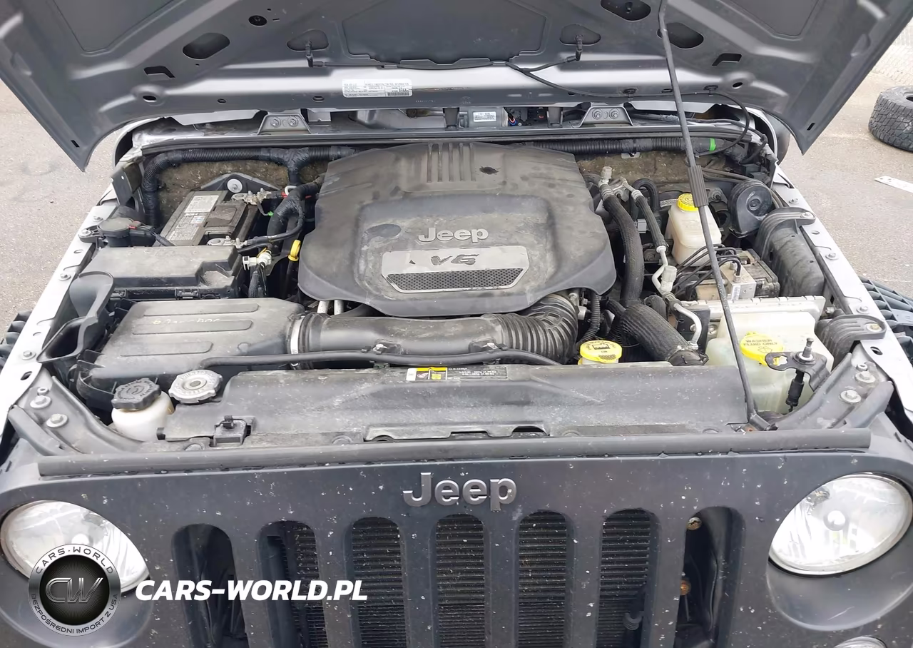 2017 Jeep Wrangler Unlimited Big Bear 4X4 VIN:1C4BJWDG0HL695199 - 10