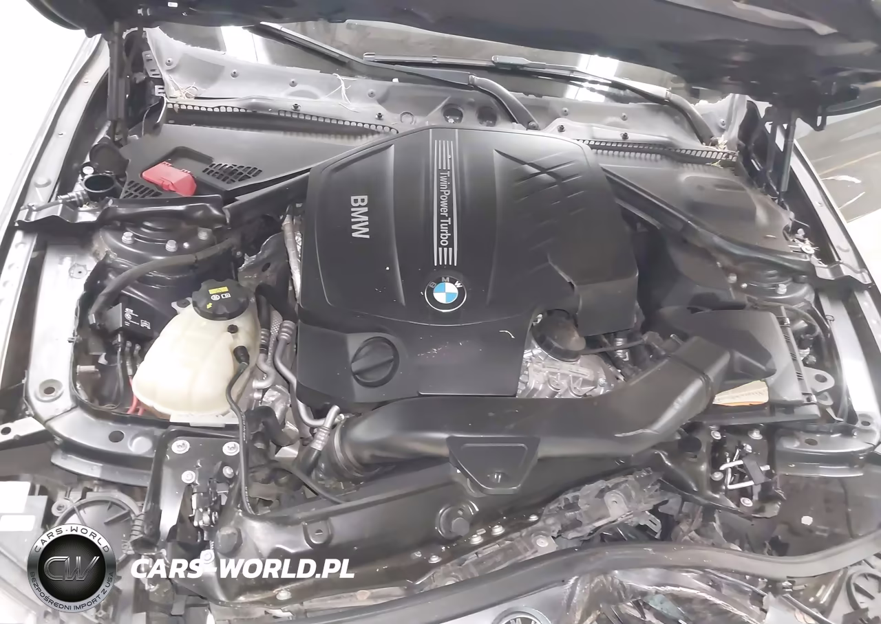 2015 BMW 435I Gran Coupe VIN:WBA4B1C5XFG241263 - 10
