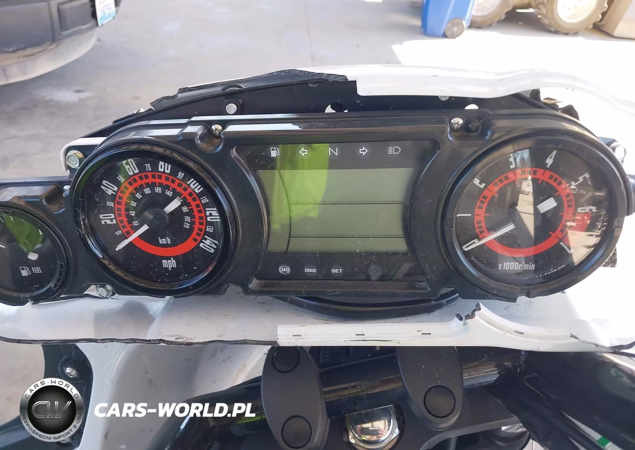 2016 Kawasaki Vn1700 K VIN:JKBVNRK11GA009415 - 7