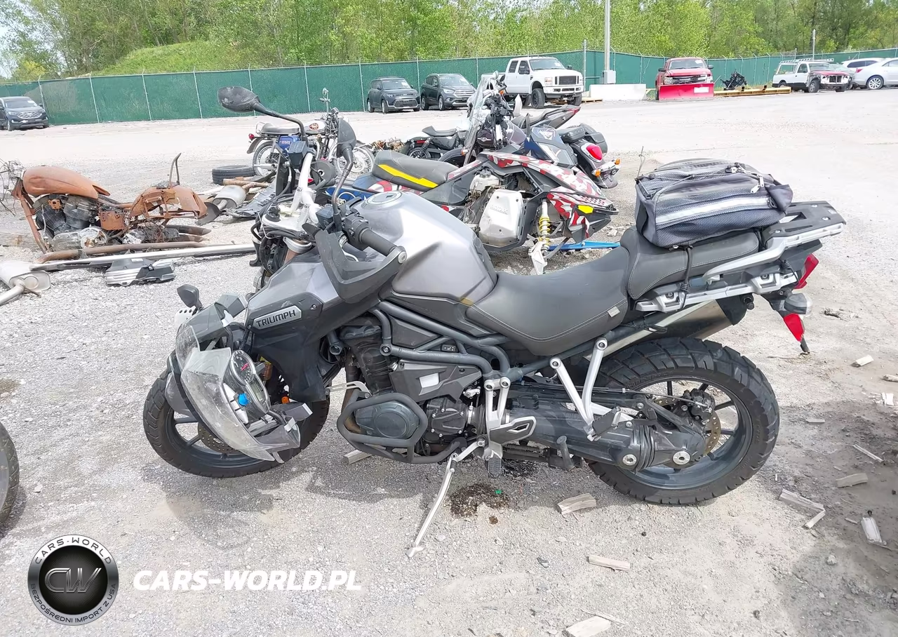 2013 Triumph Motorcycle Tiger Explorer VIN:SMTF02XK4DJ590945 - 13