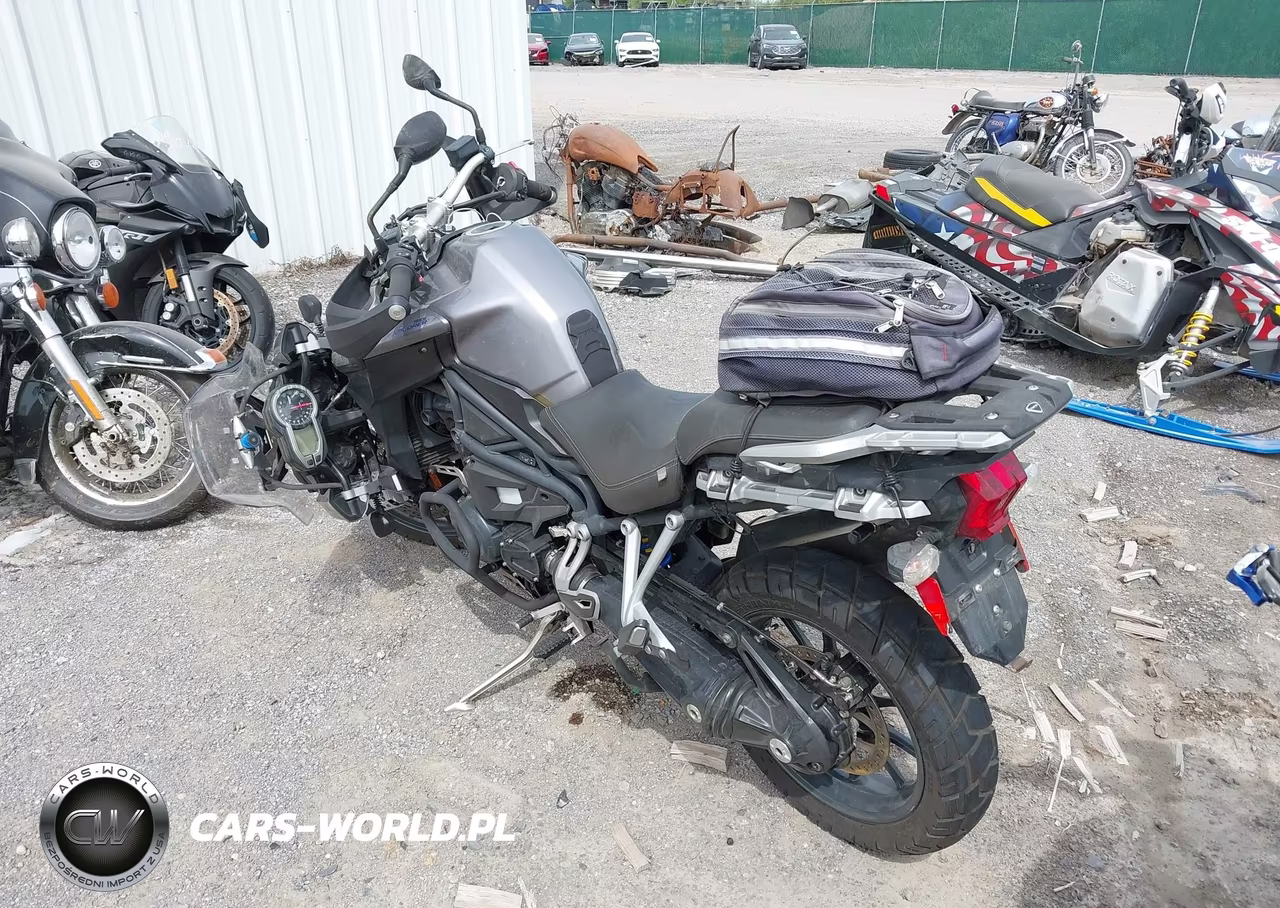 2013 Triumph Motorcycle Tiger Explorer VIN:SMTF02XK4DJ590945 - 3