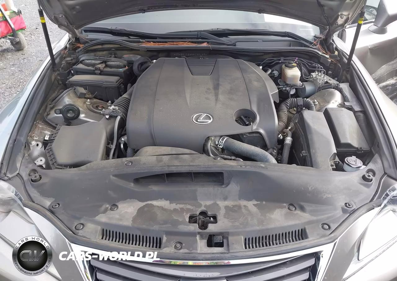 2014 Lexus Is 250 VIN:JTHBF1D26E5029469 - 10