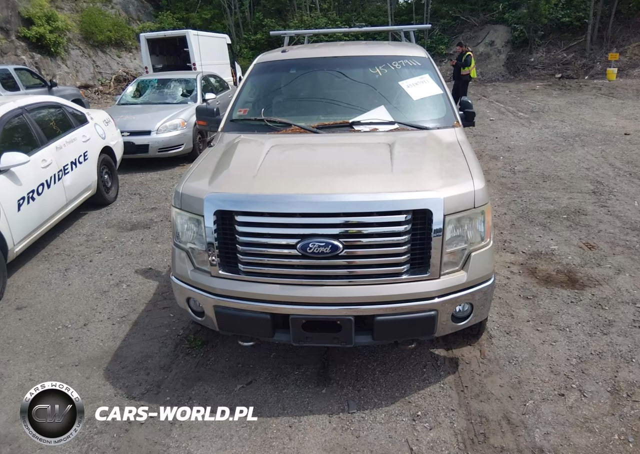 2010 Ford F-150 Fx4-Lariat-Xl-Xlt VIN:1FTFX1EV3AFC59435 - 12
