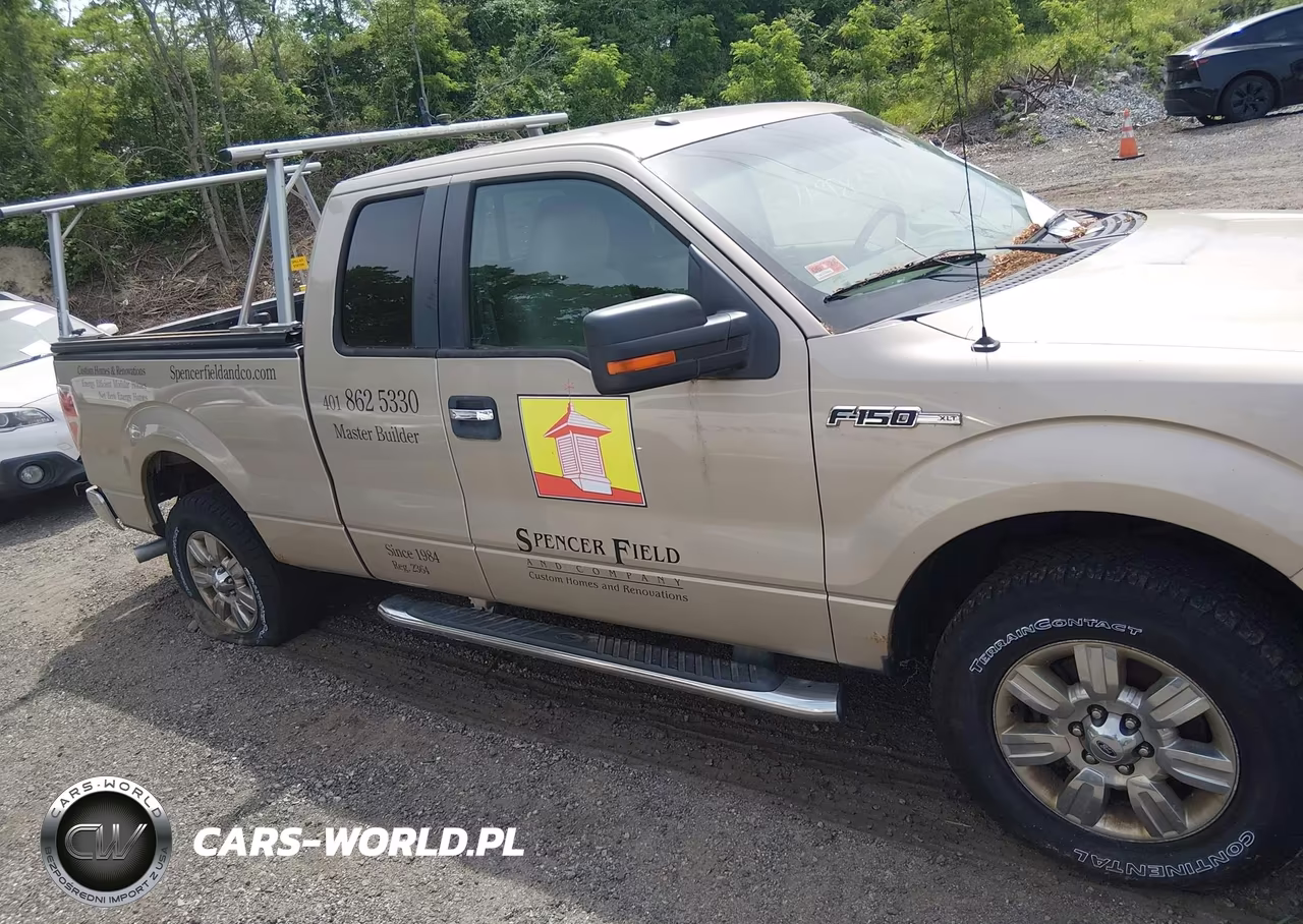 2010 Ford F-150 Fx4-Lariat-Xl-Xlt VIN:1FTFX1EV3AFC59435 - 13