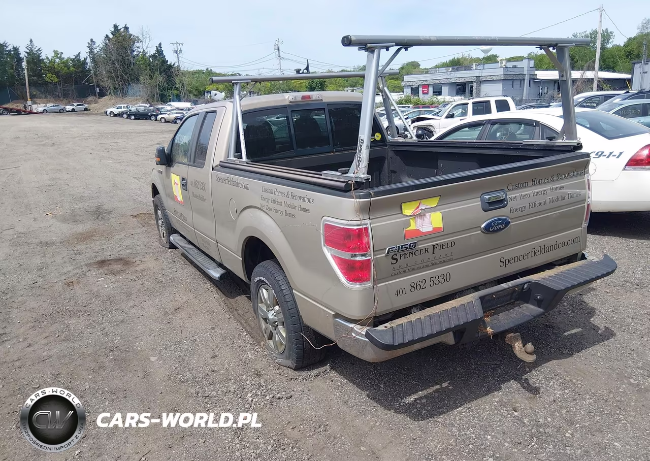 2010 Ford F-150 Fx4-Lariat-Xl-Xlt VIN:1FTFX1EV3AFC59435 - 3