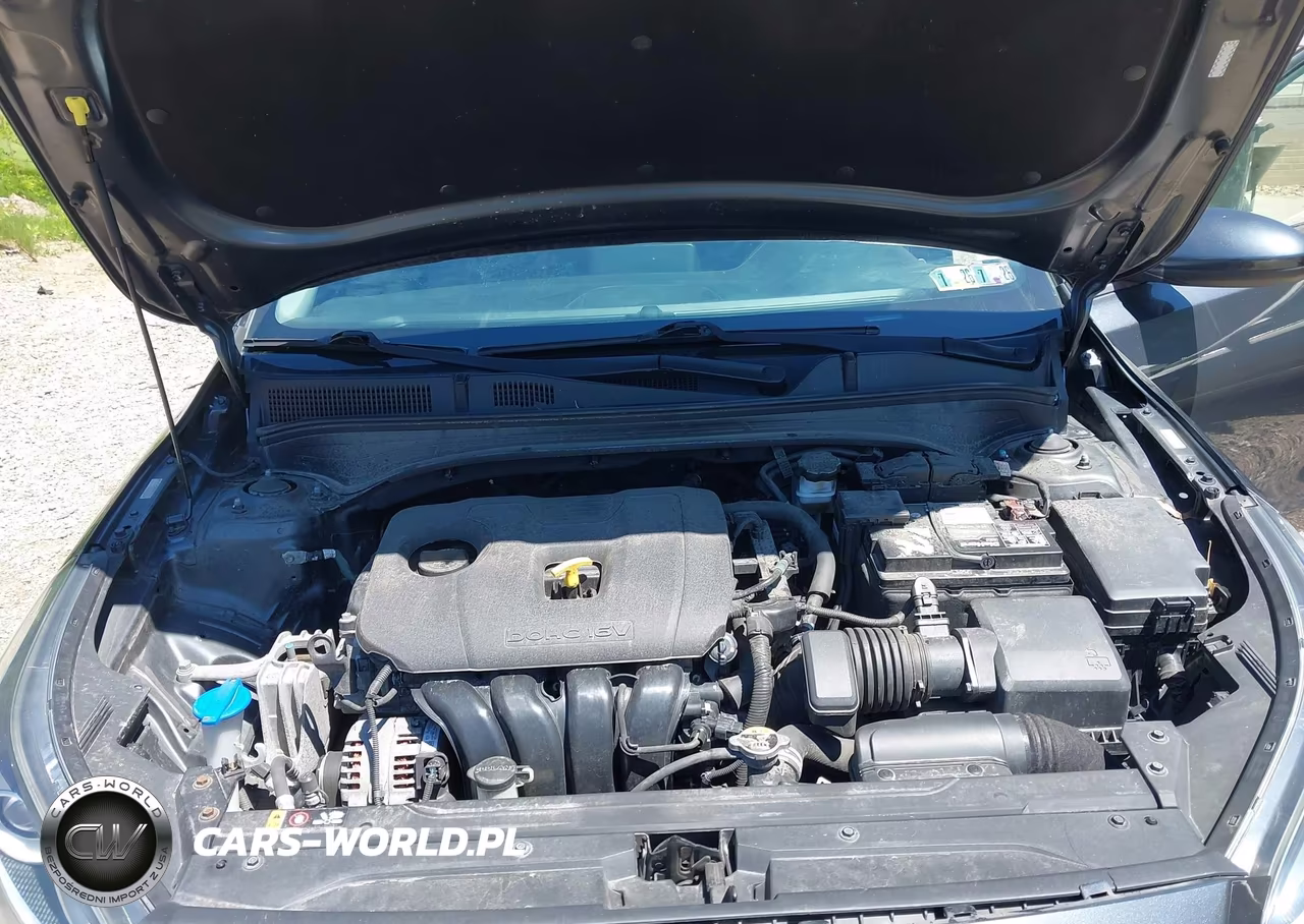 2020 Kia Forte Lxs VIN:3KPF24AD0LE162610 - 10