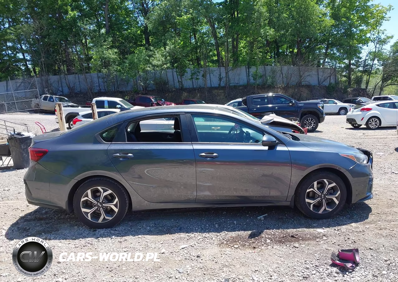 2020 Kia Forte Lxs VIN:3KPF24AD0LE162610 - 12
