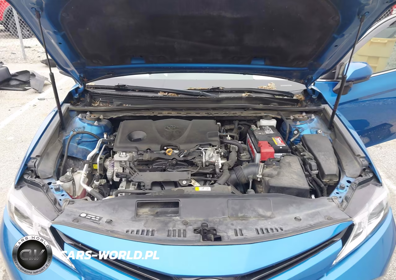 2019 Toyota Camry Le VIN:4T1B11HKXKU174604 - 10