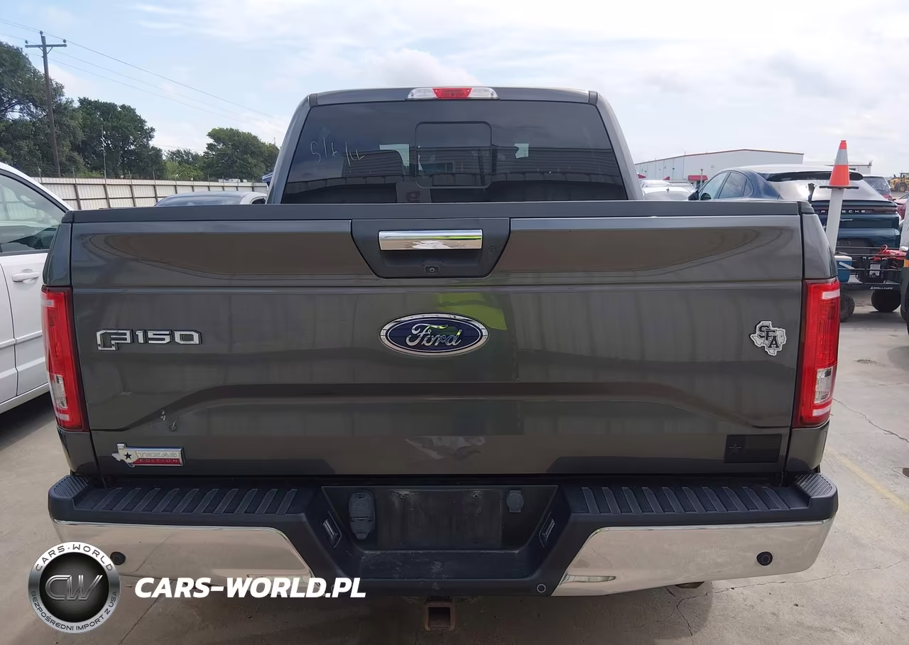 2016 Ford F-150 Xlt VIN:1FTEW1CP2GKD42941 - 20