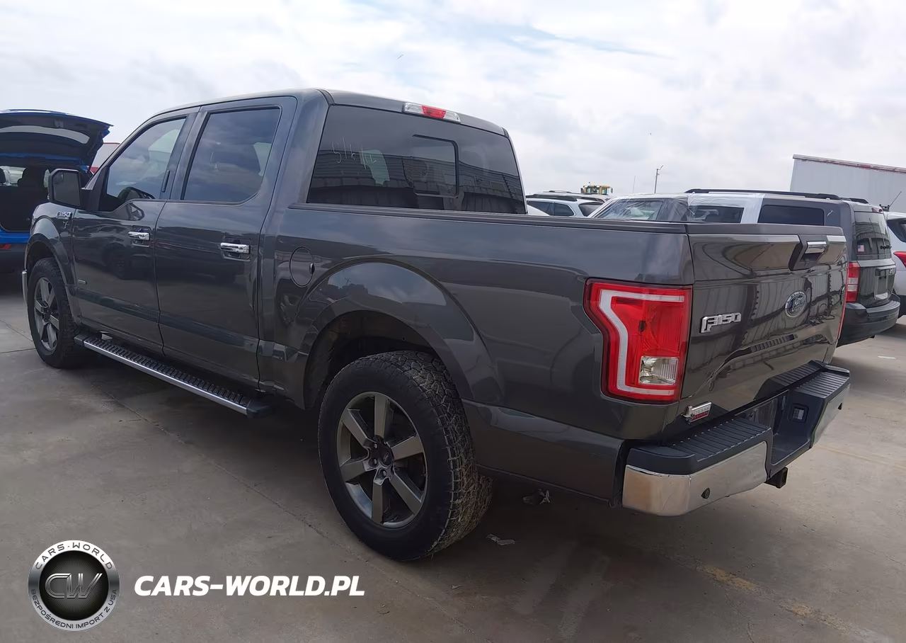 2016 Ford F-150 Xlt VIN:1FTEW1CP2GKD42941 - 3