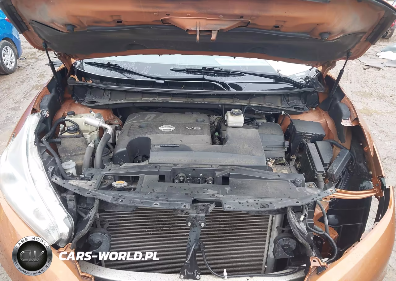 2015 Nissan Murano Sl VIN:5N1AZ2MH4FN219766 - 10
