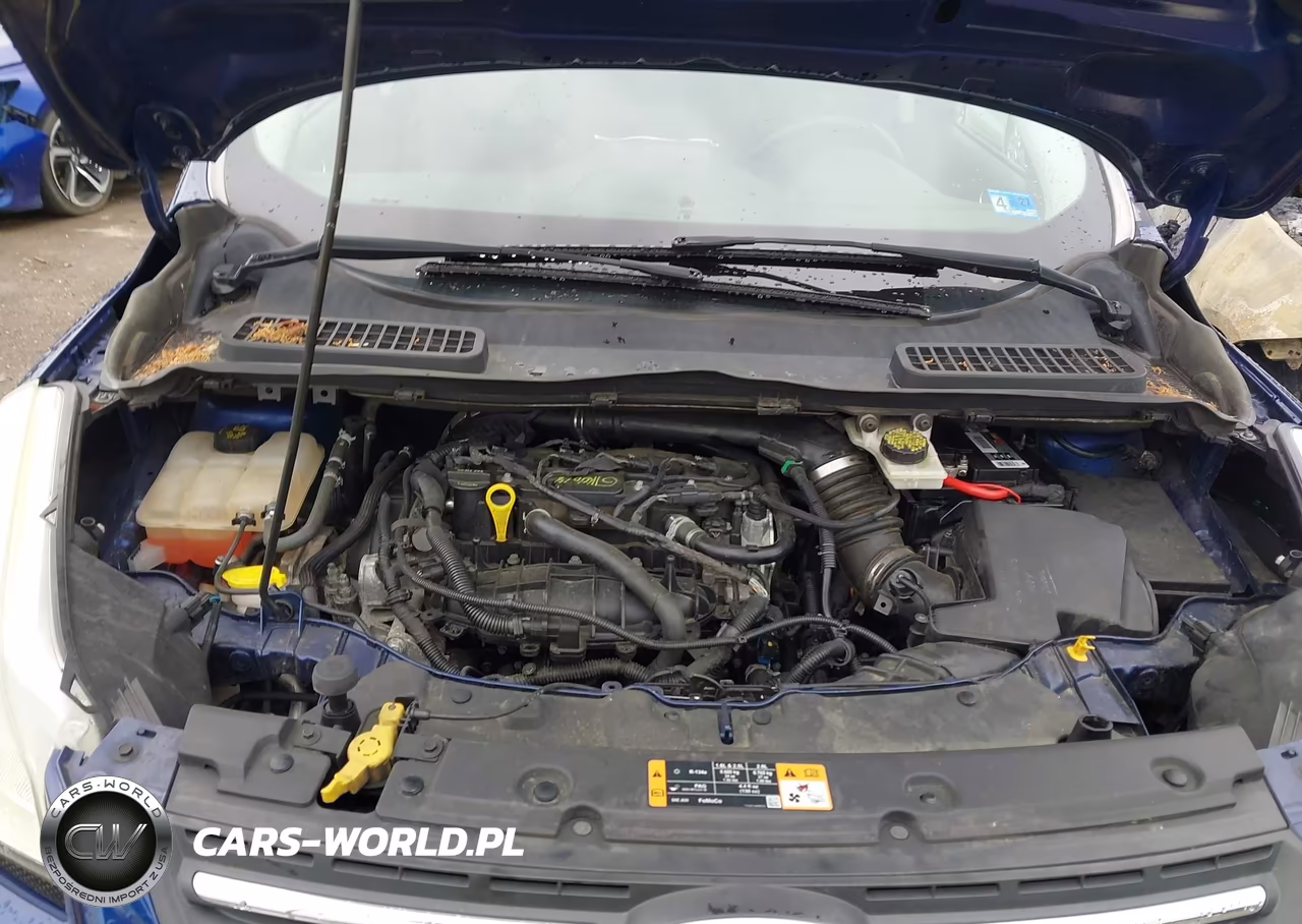 2014 Ford Escape Se VIN:1FMCU0GX0EUA60845 - 10