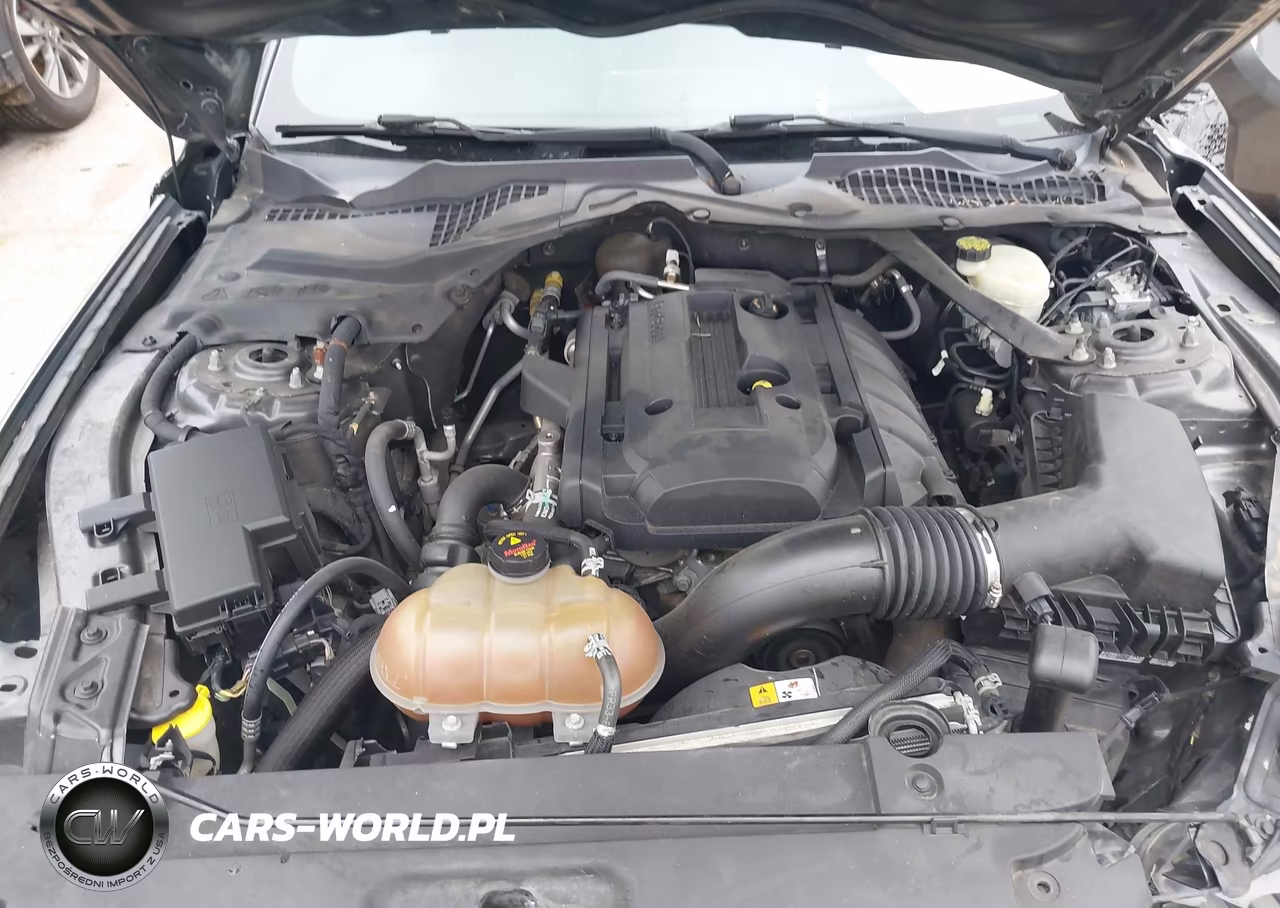 2016 Ford Mustang Ecoboost VIN:1FA6P8TH8G5221385 - 10