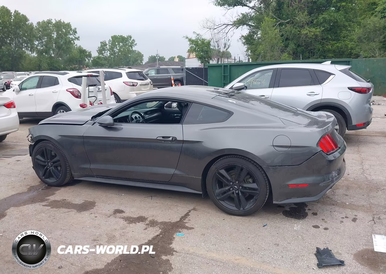 2016 Ford Mustang Ecoboost VIN:1FA6P8TH8G5221385 - 15