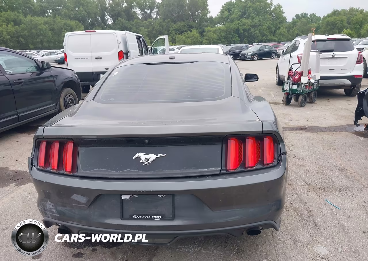 2016 Ford Mustang Ecoboost VIN:1FA6P8TH8G5221385 - 17