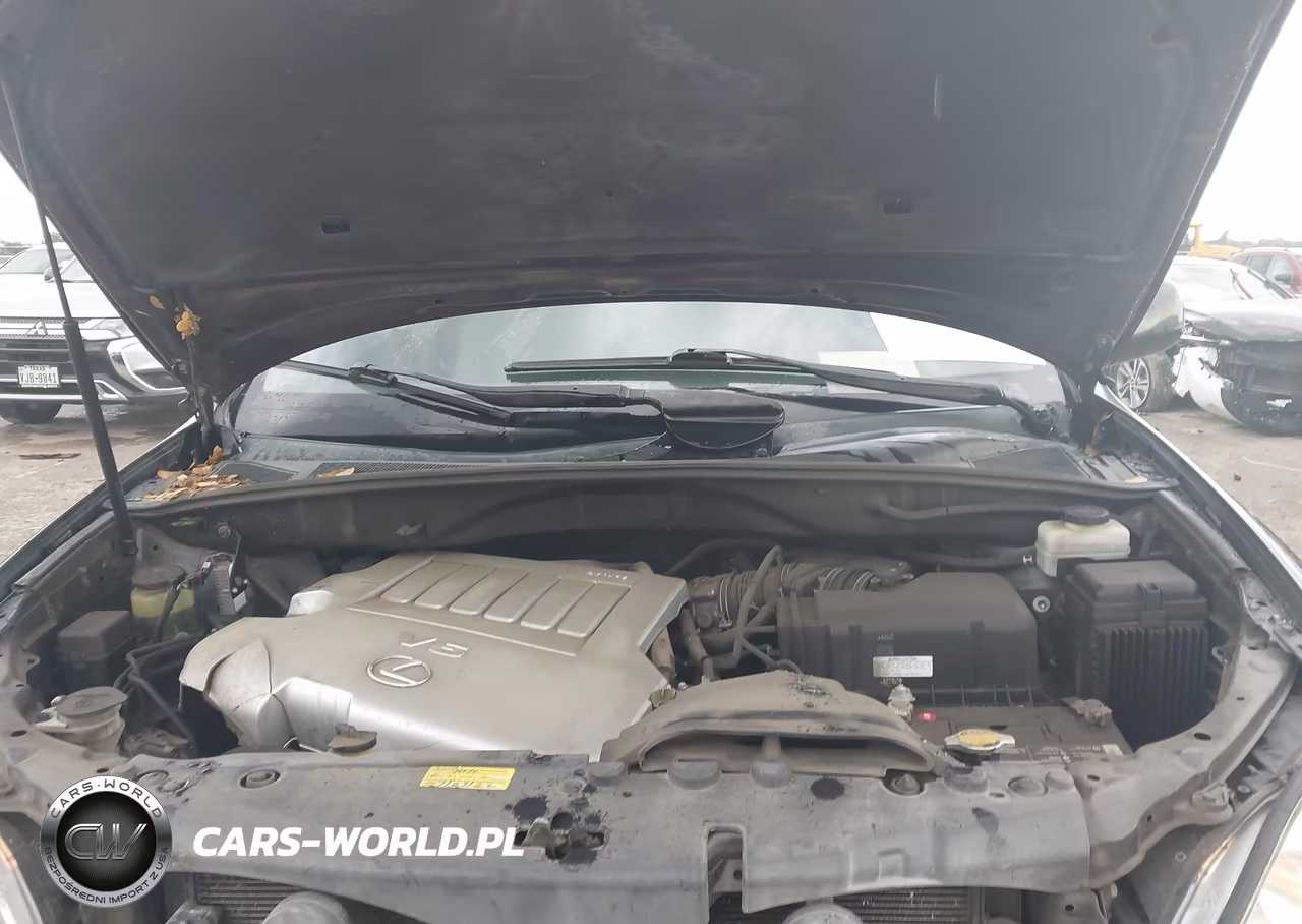 2009 Lexus Rx 350 VIN:2T2GK31U09C081706 - 10