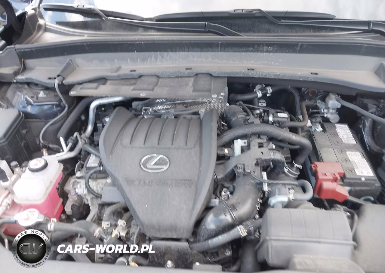 2025 Lexus Tx 350 Premium VIN:5TDAAAB60SS031743 - 10