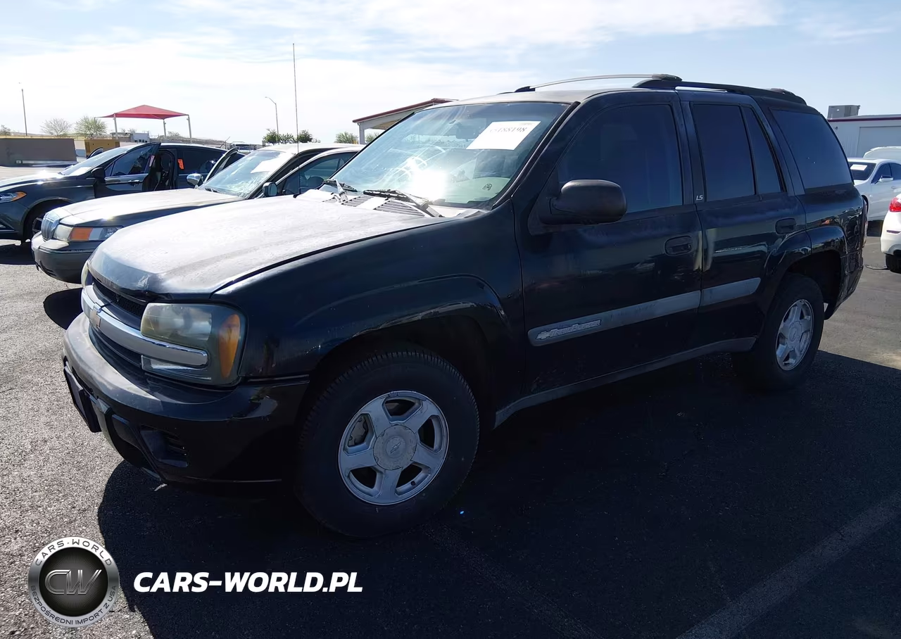 2003 Chevrolet Trailblazer Ls VIN:1GNDS13S432295487 - 2