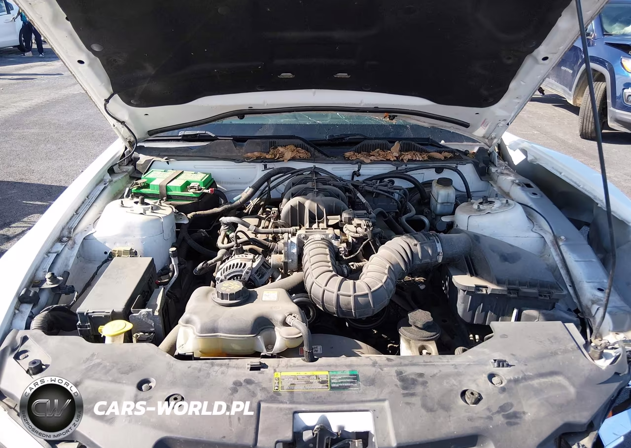 2010 Ford Mustang V6 Premium VIN:1ZVBP8AN6A5166201 - 10
