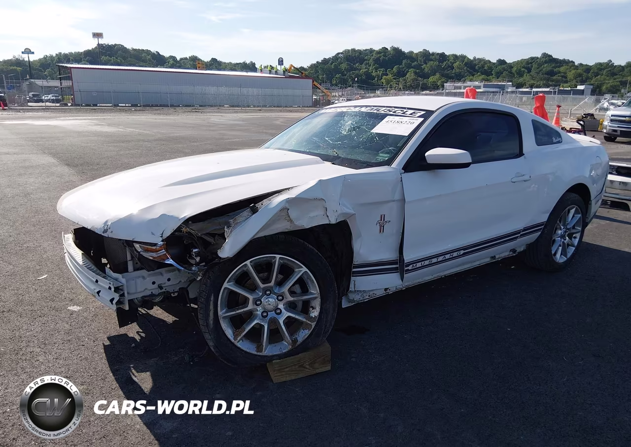 2010 Ford Mustang V6 Premium VIN:1ZVBP8AN6A5166201 - 2