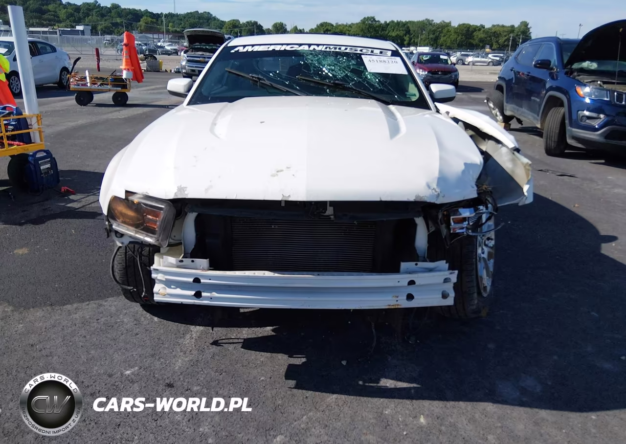 2010 Ford Mustang V6 Premium VIN:1ZVBP8AN6A5166201 - 6
