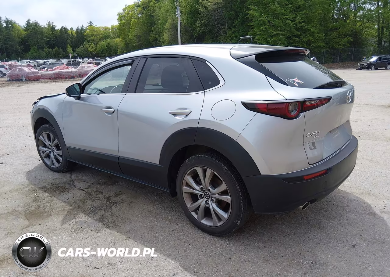 2020 Mazda Cx-30 Select Package VIN:3MVDMBCL5LM117189 - 3