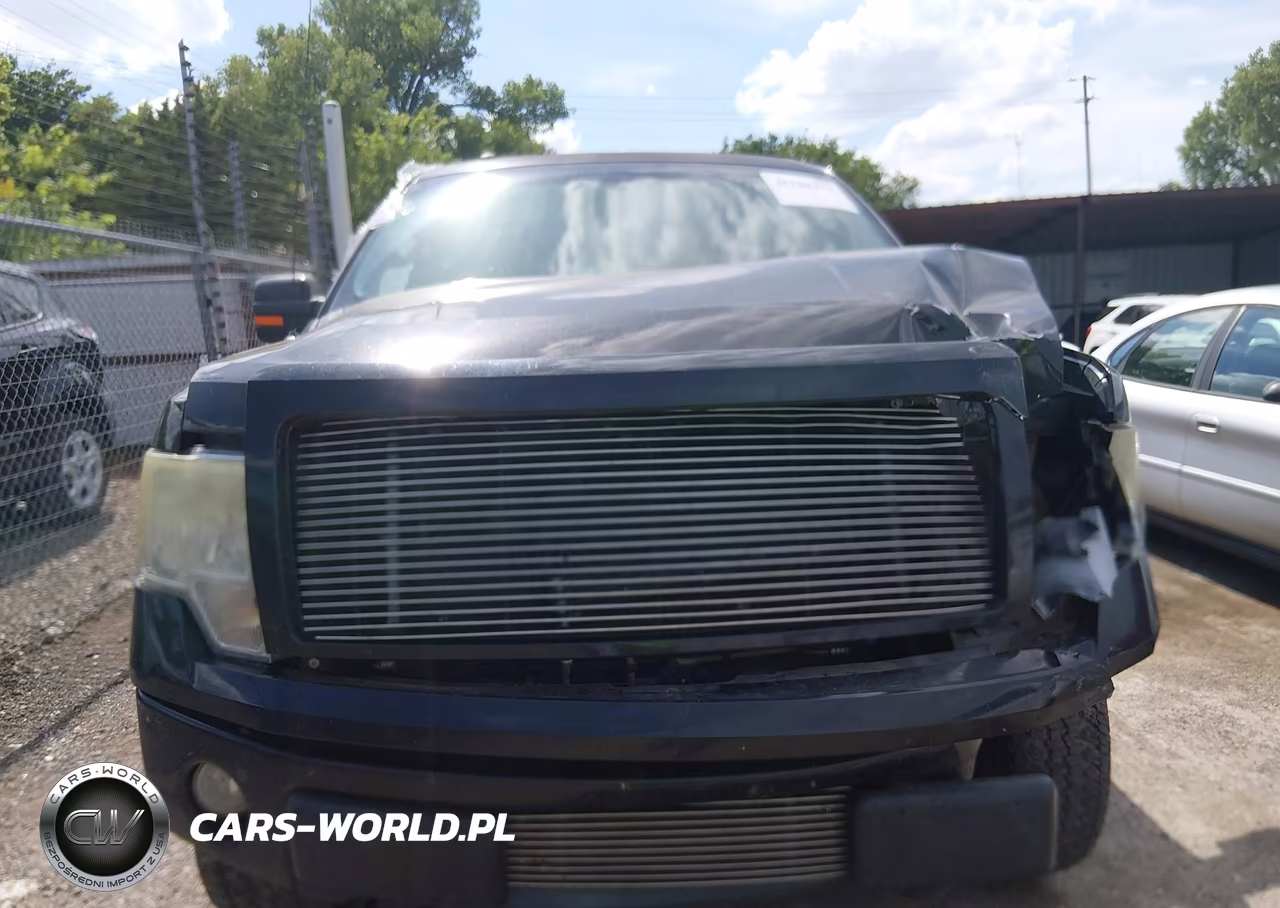 2010 Ford F-150 Fx4-Lariat-Xl-Xlt VIN:1FTFX1EV7AKE70144 - 12