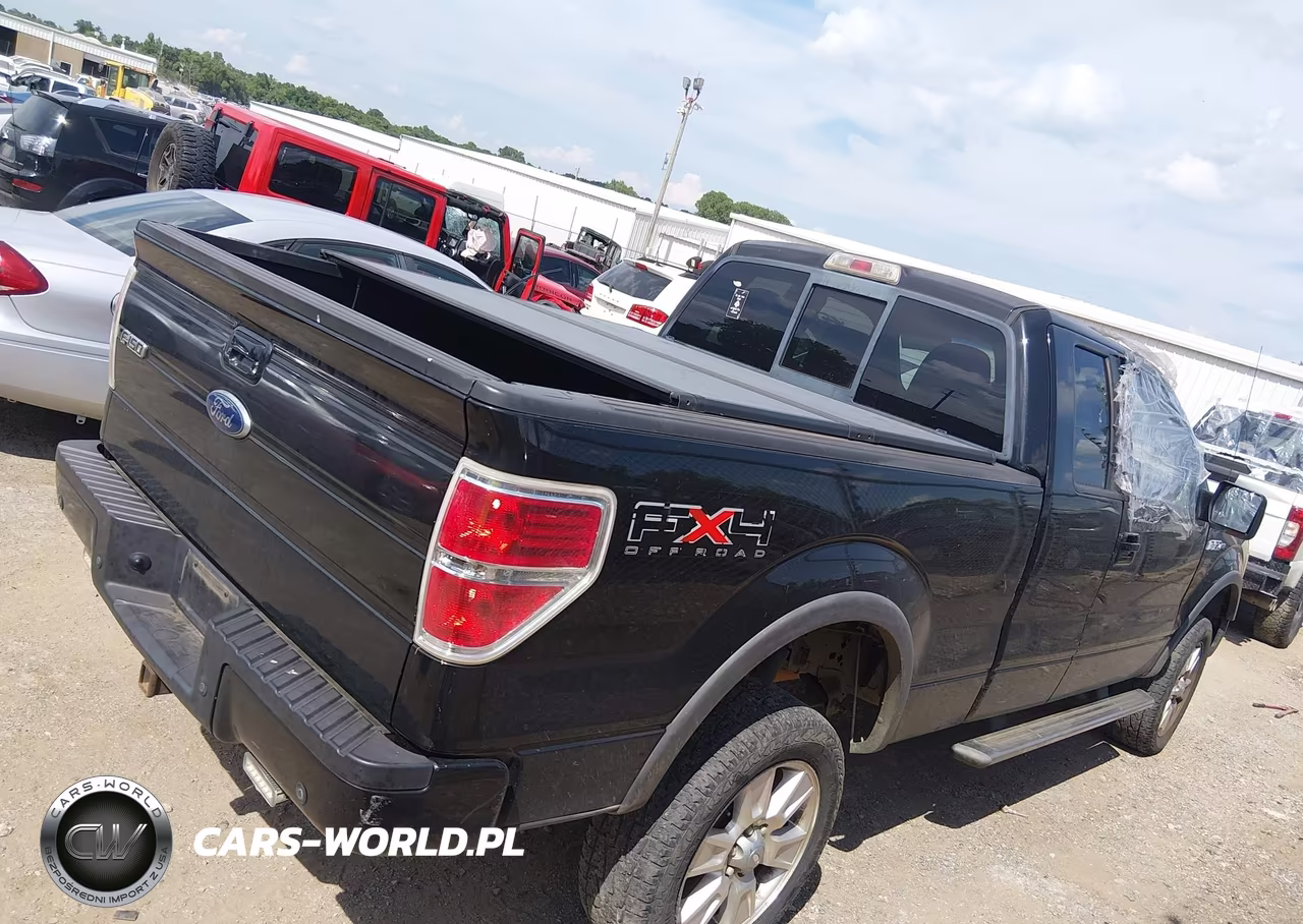 2010 Ford F-150 Fx4-Lariat-Xl-Xlt VIN:1FTFX1EV7AKE70144 - 13