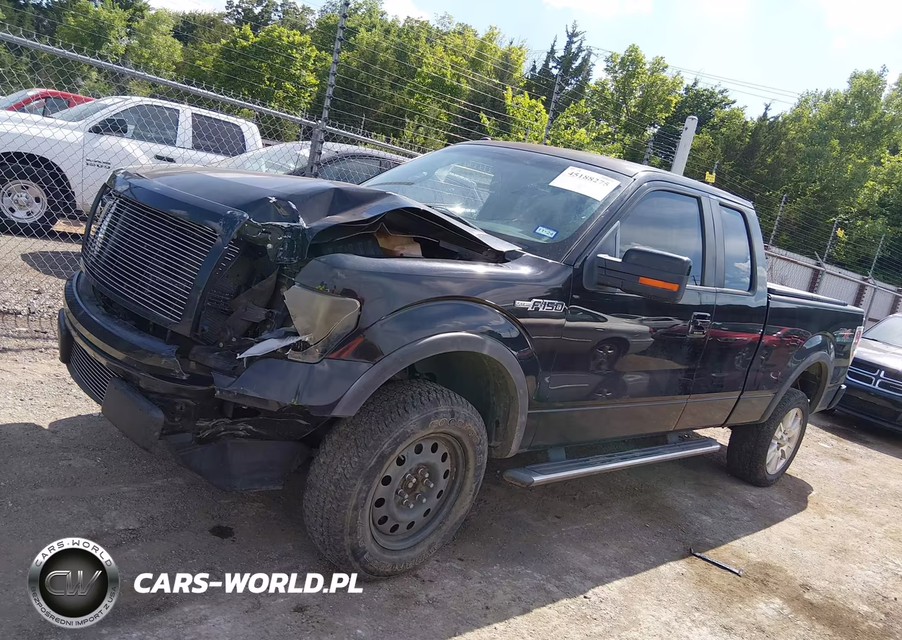 2010 Ford F-150 Fx4-Lariat-Xl-Xlt VIN:1FTFX1EV7AKE70144 - 14