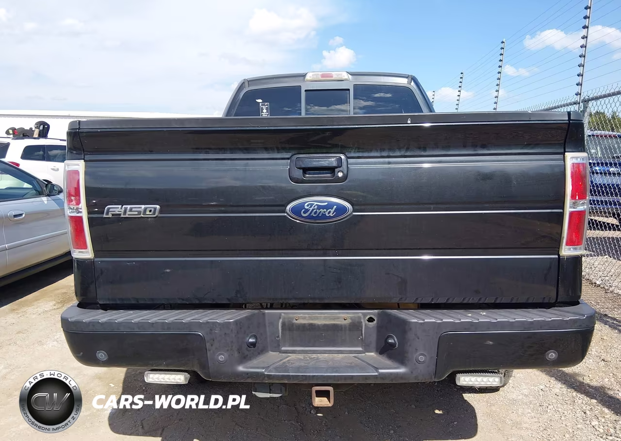 2010 Ford F-150 Fx4-Lariat-Xl-Xlt VIN:1FTFX1EV7AKE70144 - 16