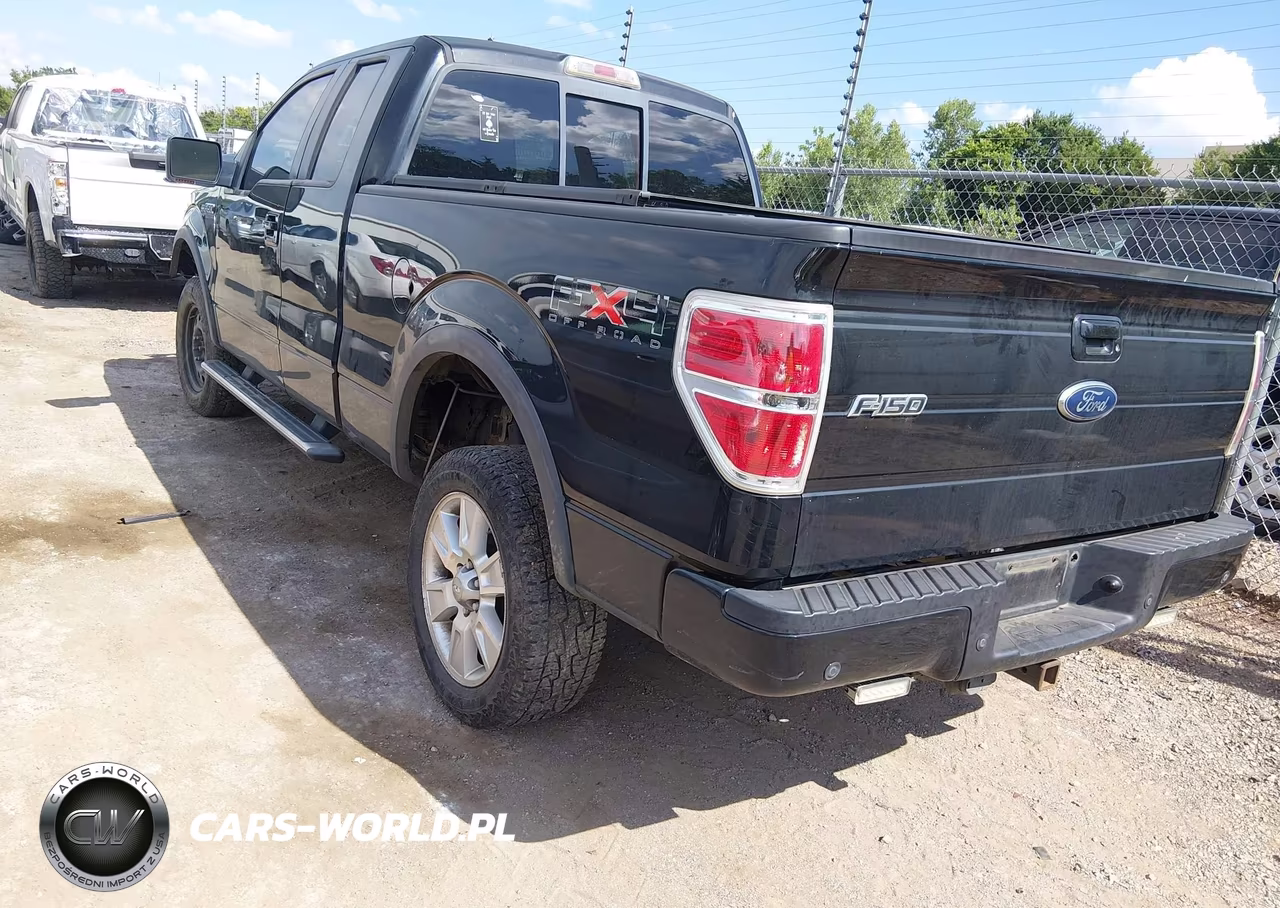 2010 Ford F-150 Fx4-Lariat-Xl-Xlt VIN:1FTFX1EV7AKE70144 - 3