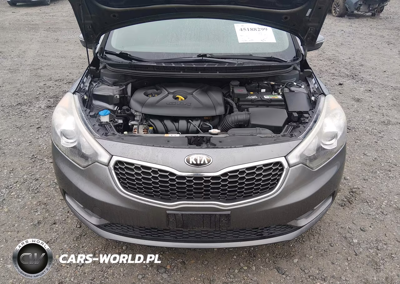 2014 Kia Forte Ex VIN:KNAFZ4A82E5073633 - 10