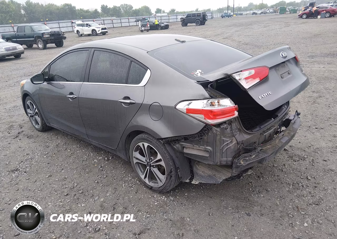 2014 Kia Forte Ex VIN:KNAFZ4A82E5073633 - 3