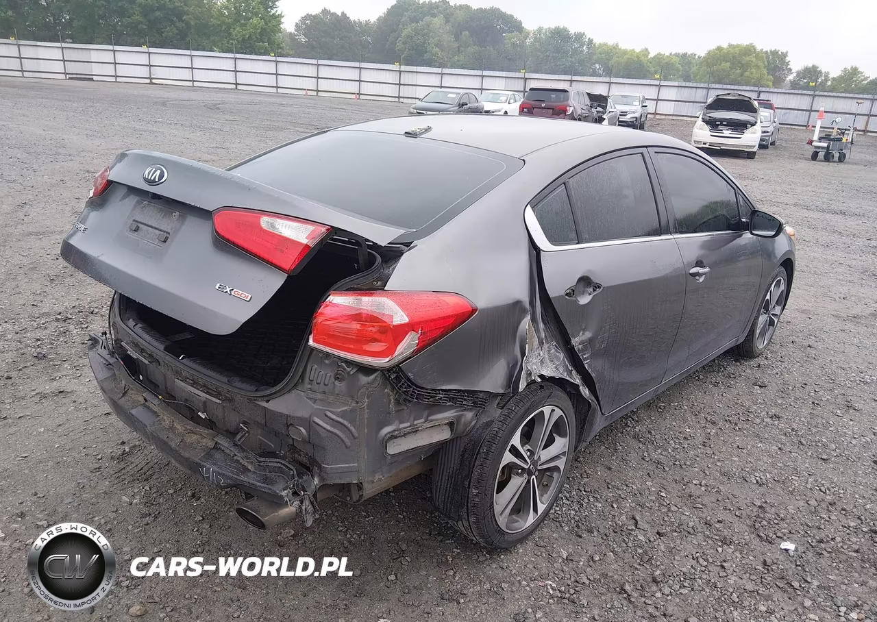 2014 Kia Forte Ex VIN:KNAFZ4A82E5073633 - 4