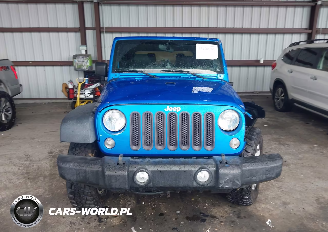 2016 Jeep Wrangler Rubicon VIN:1C4BJWCG9GL143698 - 11
