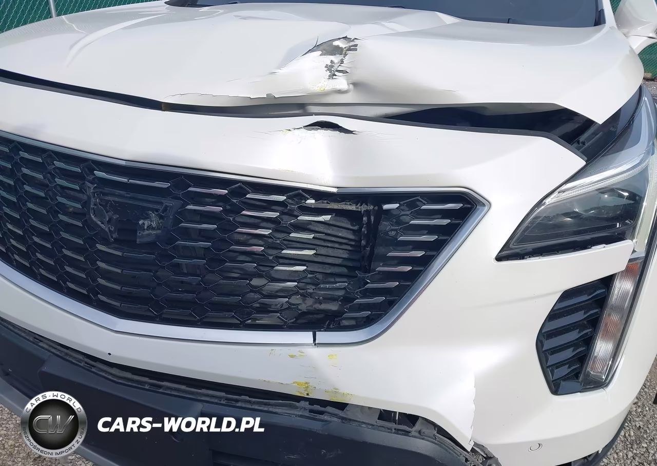 2019 Cadillac Xt4 Premium Luxury VIN:1GYFZCR4XKF143104 - 20