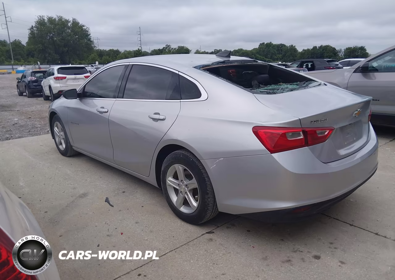 2019 Chevrolet Malibu 1Ls VIN:1G1ZB5ST5KF105437 - 3