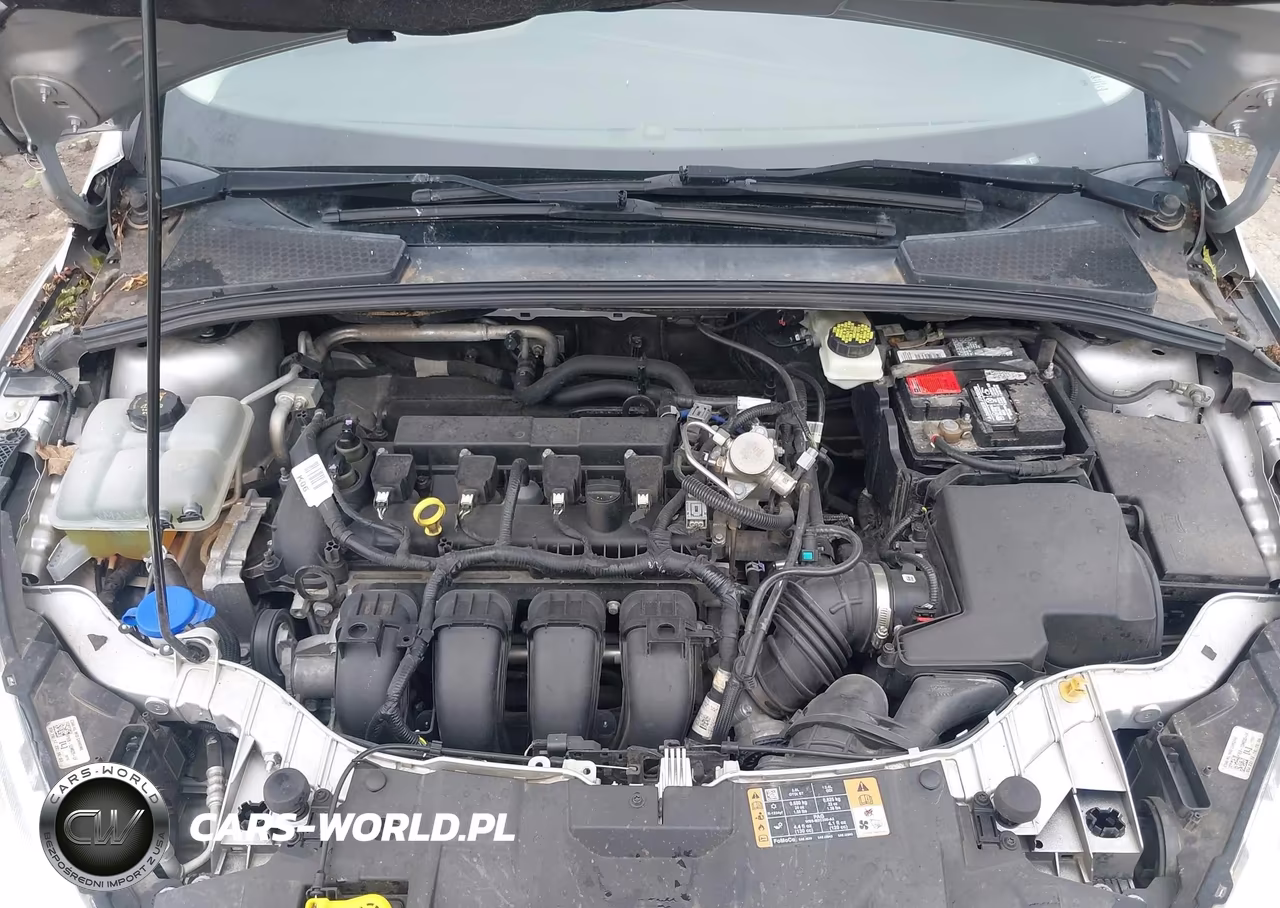 2017 Ford Focus Titanium VIN:1FADP3N22HL287656 - 10