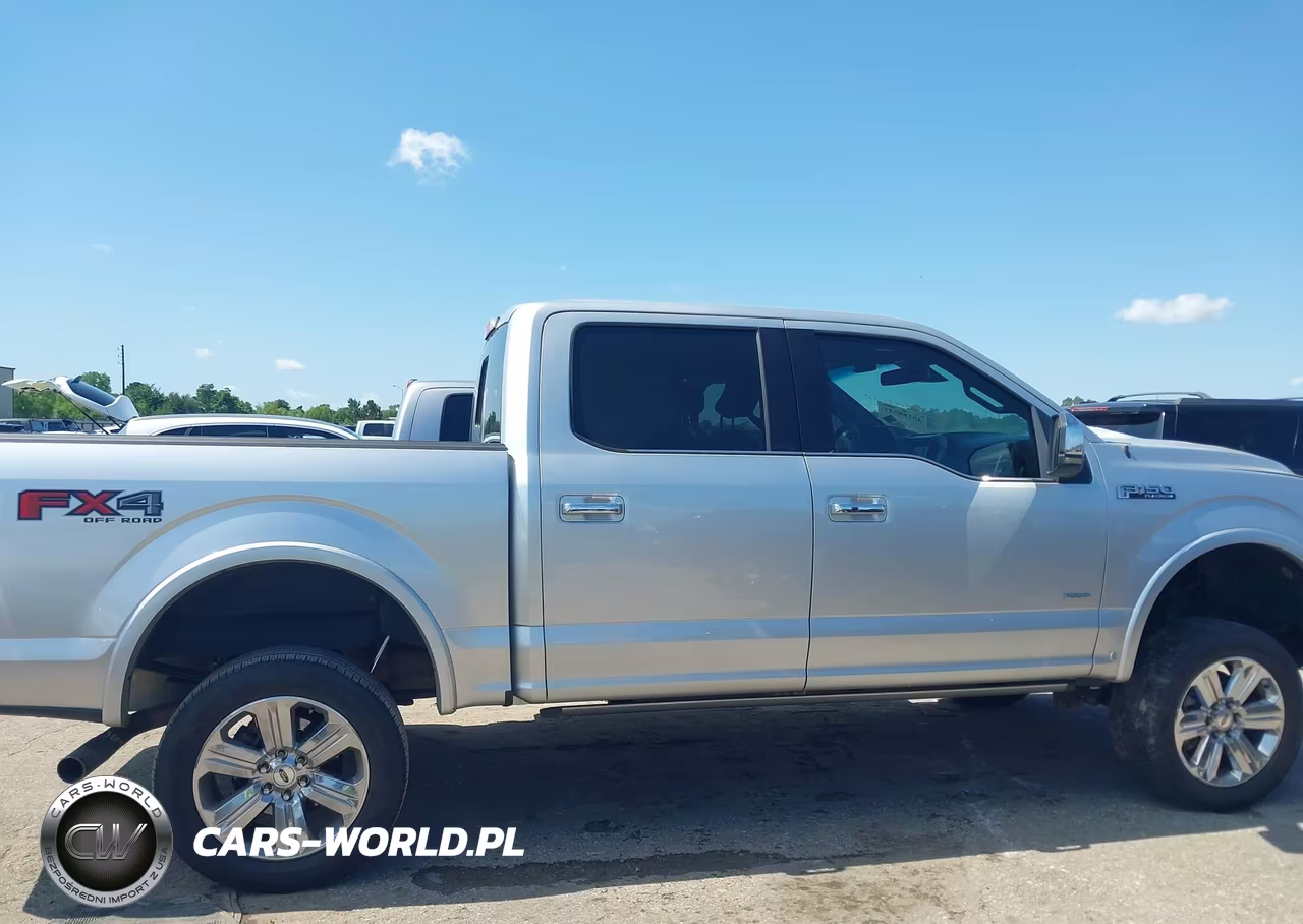 2016 Ford F-150 Platinum VIN:1FTEW1EG0GFB01241 - 13