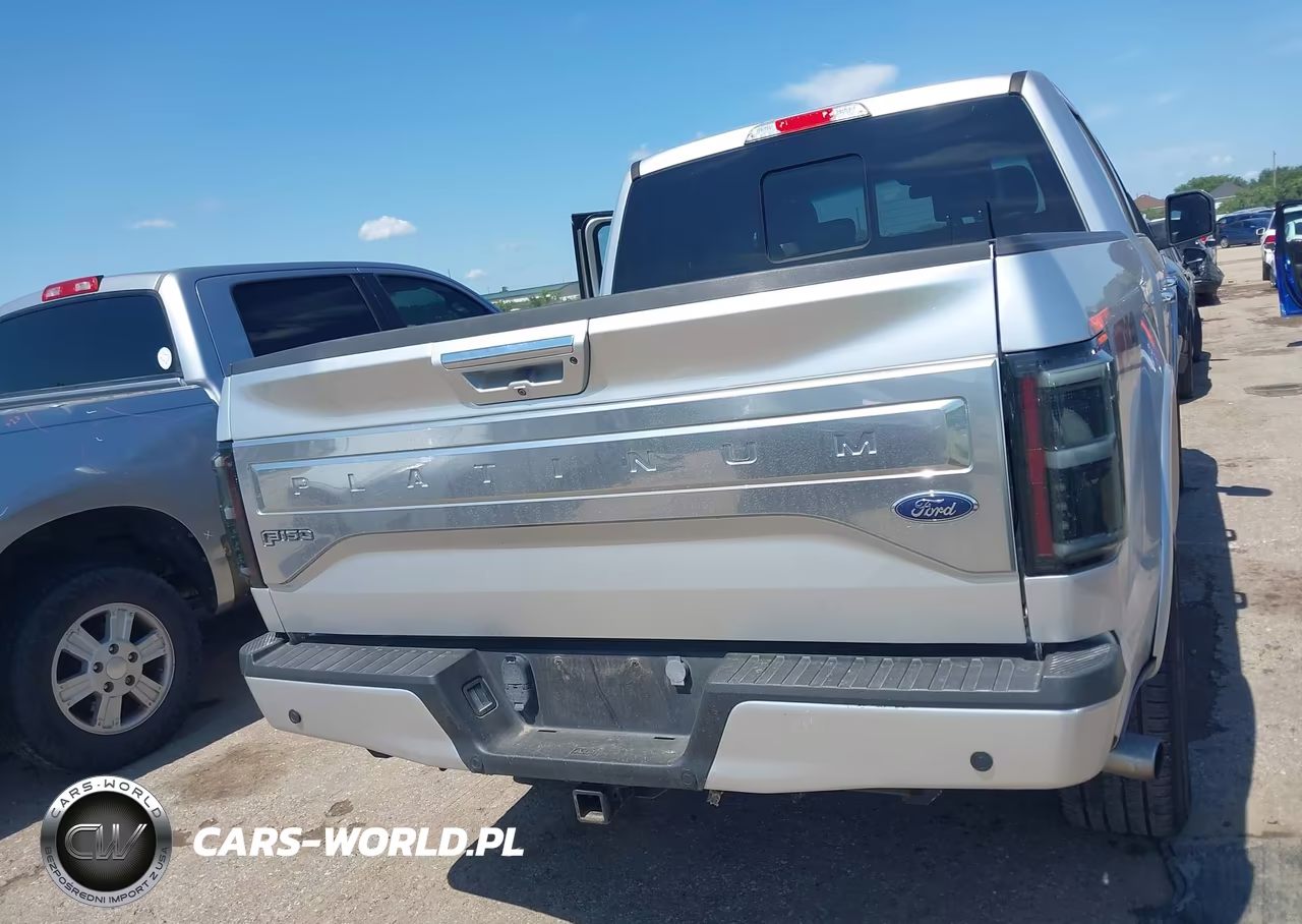 2016 Ford F-150 Platinum VIN:1FTEW1EG0GFB01241 - 16